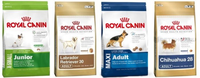 Корм Royal Canin для активных собак