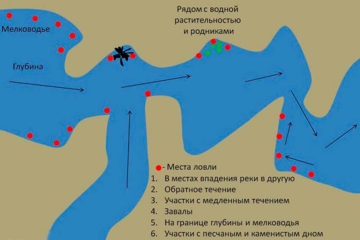 Как выбрать место для рыбалки